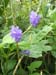 DSCF0581