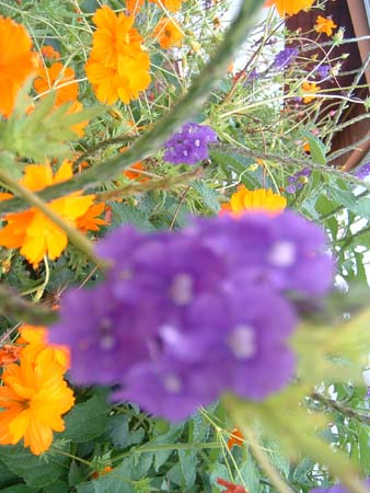 DSCF0119