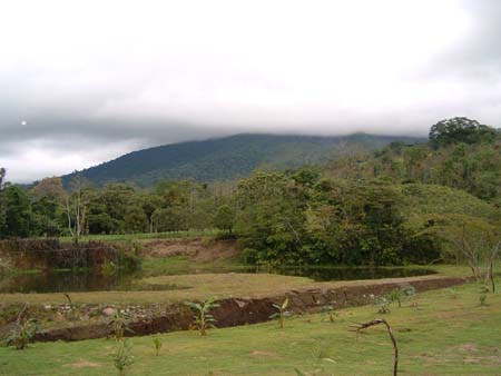DSCF0121