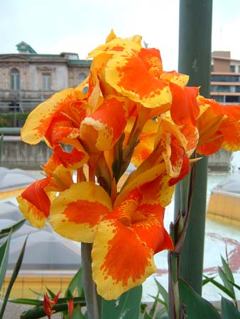 DSCF0394