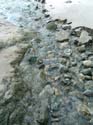 DSCF0044