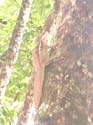 DSCF0050