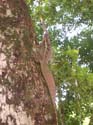 DSCF0051