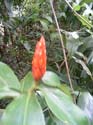 DSCF0056