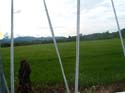 DSCF0061