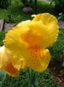 DSCF0106