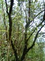DSCF0140