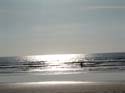 DSCF0334