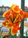 DSCF0394