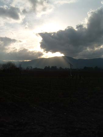 DSCF0058